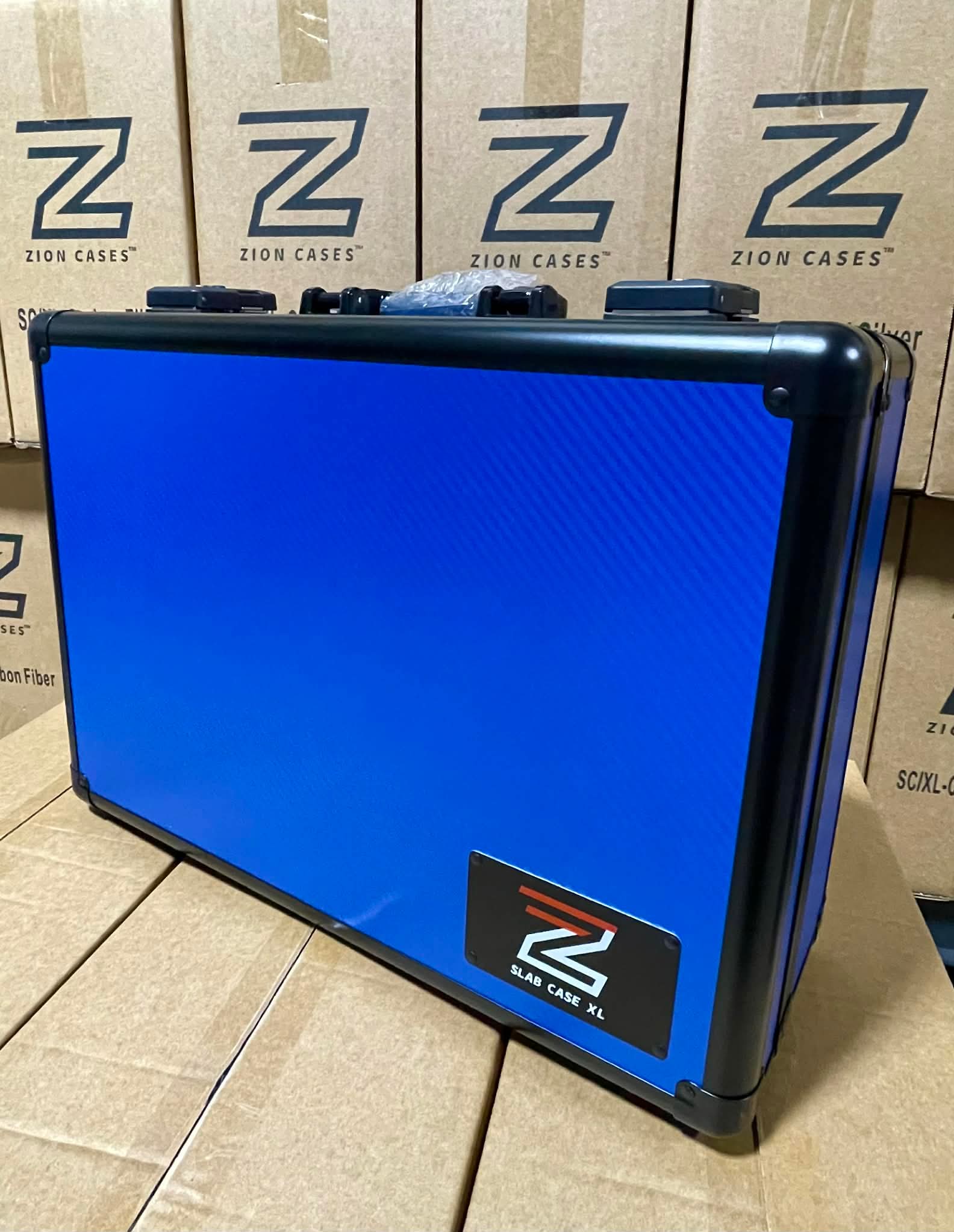 Zion Cases