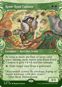 Keen-Eyed Curator (Showcase) (322) [Bloomburrow] foil - Deck Out Gaming