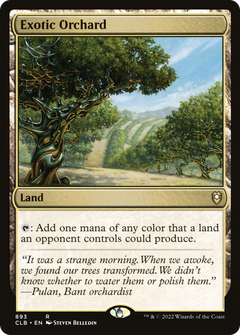 Exotic Orchard (893) [Commander Legends: Battle for Baldur's Gate] - Deck Out Gaming