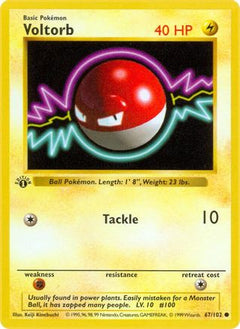 Voltorb (67) [Base Set (Shadowless)] Unlimited - Deck Out Gaming