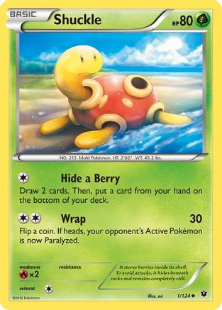Shuckle (1) [XY - Fates Collide] Reverse Holofoil - Deck Out Gaming