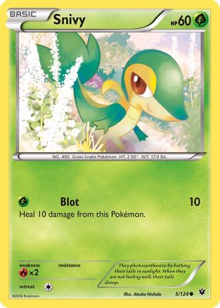 Snivy (5) [XY - Fates Collide] Reverse Holofoil - Deck Out Gaming