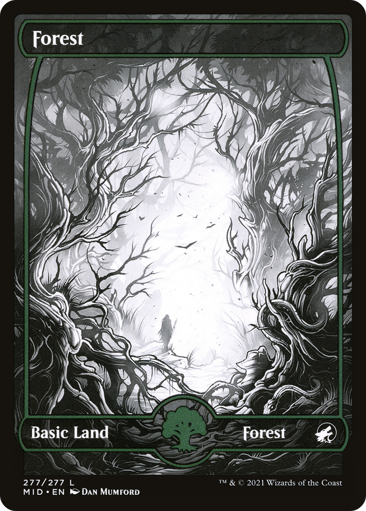 Forest (277) [Innistrad: Midnight Hunt] - Deck Out Gaming