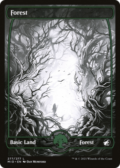 Forest (277) [Innistrad: Midnight Hunt] foil - Deck Out Gaming