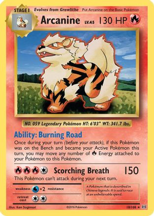 Arcanine (18) [XY - Evolutions] Reverse Holofoil - Deck Out Gaming