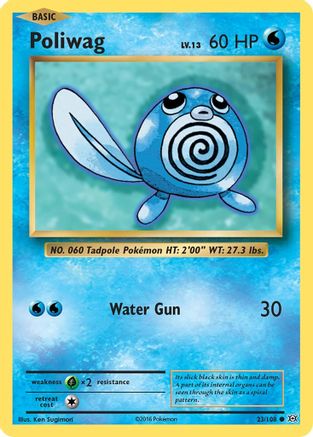 Poliwag (23) [XY - Evolutions] Reverse Holofoil - Deck Out Gaming