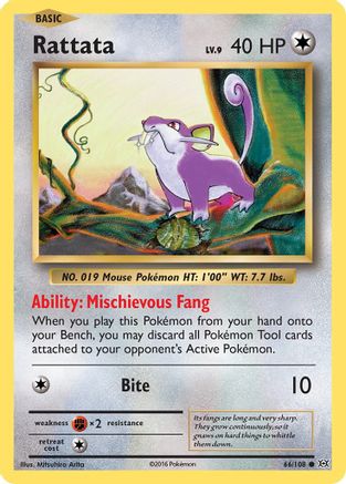 Rattata (66) [XY - Evolutions] Reverse Holofoil - Deck Out Gaming