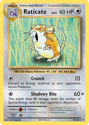 Raticate (67) [XY - Evolutions] Reverse Holofoil - Deck Out Gaming
