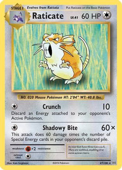 Raticate (67) [XY - Evolutions] Reverse Holofoil - Deck Out Gaming