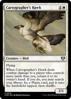 Cartographer's Hawk (18) [Commander Masters] foil - Deck Out Gaming