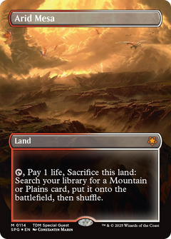 Arid Mesa (Borderless) (Dragonscale Foil) (114) [Special Guests] foil - Deck Out Gaming