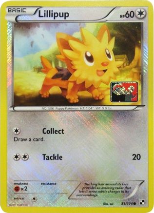 Lillipup - 81/114 (League Promo) (81) [League & Championship Cards] Reverse Holofoil - Deck Out Gaming