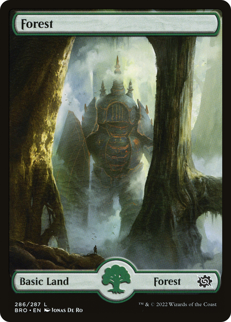 Forest (286) - Full Art (286) [The Brothers' War] - Deck Out Gaming