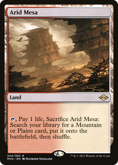 Arid Mesa (244) [Modern Horizons 2] foil - Deck Out Gaming