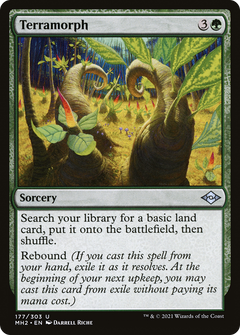 Terramorph (177) [Modern Horizons 2] foil - Deck Out Gaming
