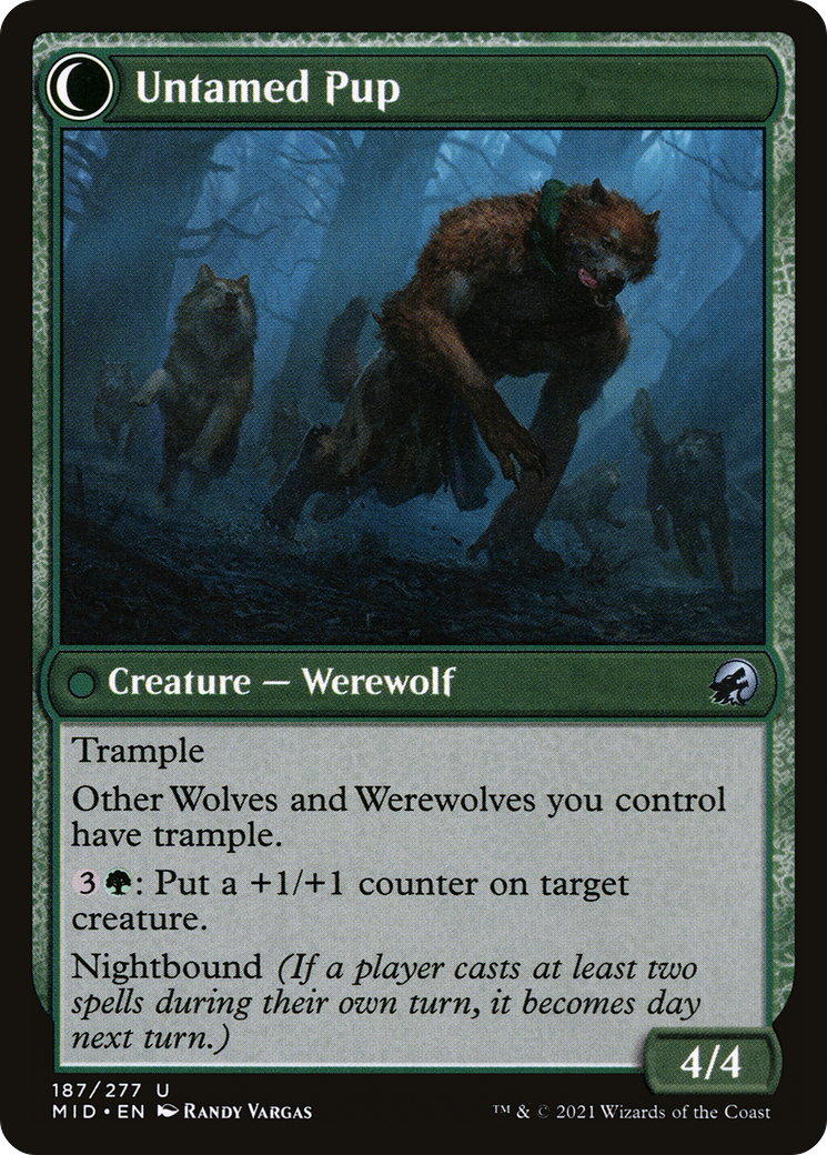 Hound Tamer (187) [Innistrad: Midnight Hunt] foil - Deck Out Gaming