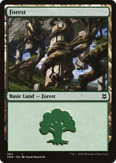 Forest (384) [Zendikar Rising] - Deck Out Gaming