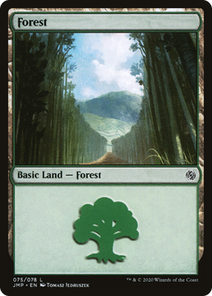 Forest (75) [Jumpstart] - Deck Out Gaming