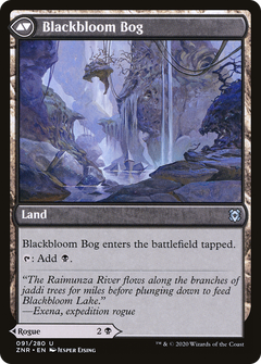 Blackbloom Rogue (91) [Zendikar Rising] foil - Deck Out Gaming