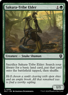 Sakura-Tribe Elder (236) [Bloomburrow Commander] - Deck Out Gaming