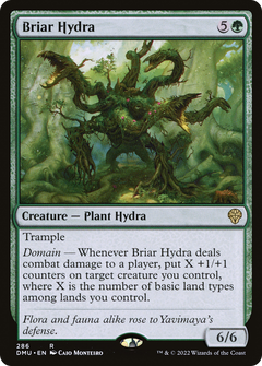 Briar Hydra (286) (286) [Dominaria United] - Deck Out Gaming