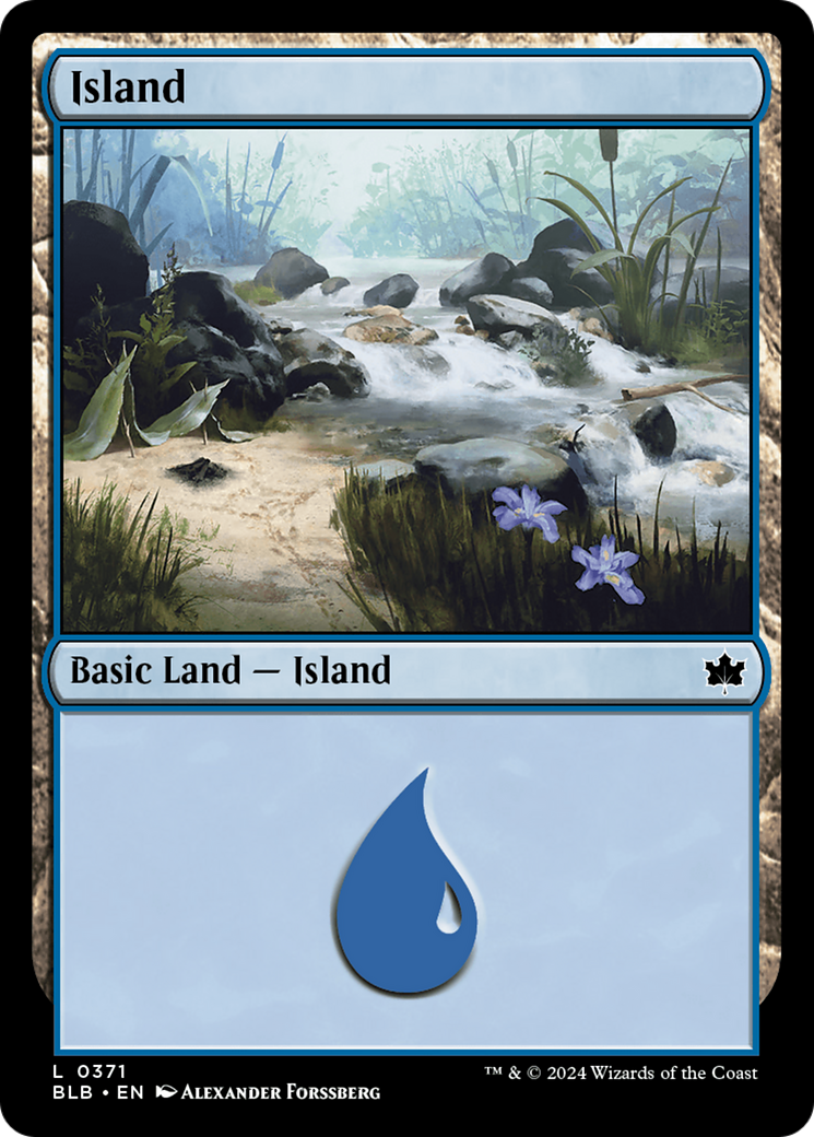Island (0371) (371) [Bloomburrow] - Deck Out Gaming