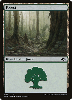 Forest (489) (489) [Modern Horizons 2] - Deck Out Gaming