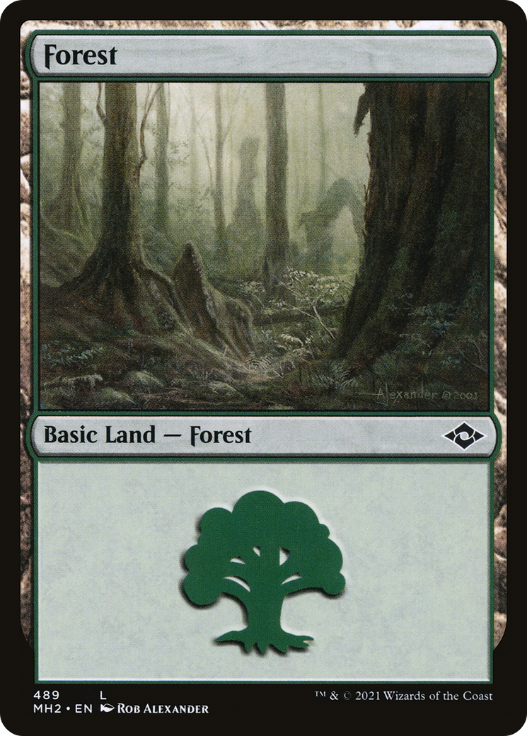 Forest (489) (489) [Modern Horizons 2] - Deck Out Gaming