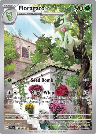 Floragato - 197/193 (197) [SV02: Paldea Evolved] Holofoil - Deck Out Gaming