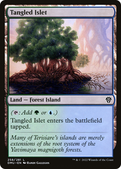 Tangled Islet (258) [Dominaria United] - Deck Out Gaming