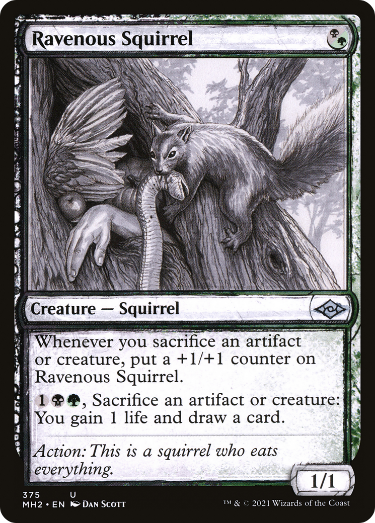 Ravenous Squirrel (Showcase) (375) [Modern Horizons 2] - Deck Out Gaming