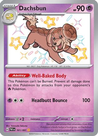 Dachsbun - 161/091 (161) [SV: Paldean Fates] Holofoil - Deck Out Gaming