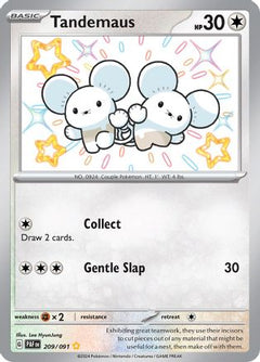 Tandemaus - 209/091 (209) [SV: Paldean Fates] Holofoil - Deck Out Gaming