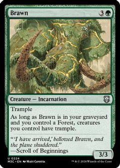 Brawn (Ripple Foil) (224) [Modern Horizons 3 Commander] foil - Deck Out Gaming