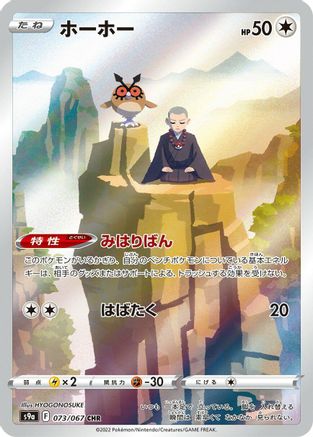 Hoothoot - 073/067 (073/067) [S9a: Battle Region] Holofoil - Deck Out Gaming