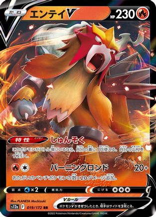 Entei V - 019/172 (019/172) [S12a: VSTAR Universe] Holofoil - Deck Out Gaming