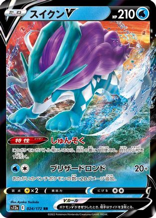 Suicune V - 024/172 (024/172) [S12a: VSTAR Universe] Holofoil - Deck Out Gaming
