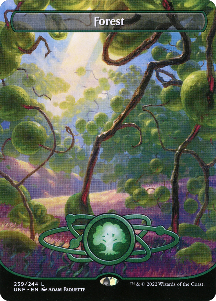 Forest (239) (Borderless) (239) [Unfinity] - Deck Out Gaming