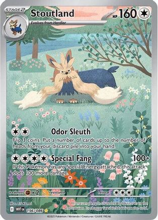 Stoutland - 156/086 (156) [SV: White Flare] Holofoil - Deck Out Gaming