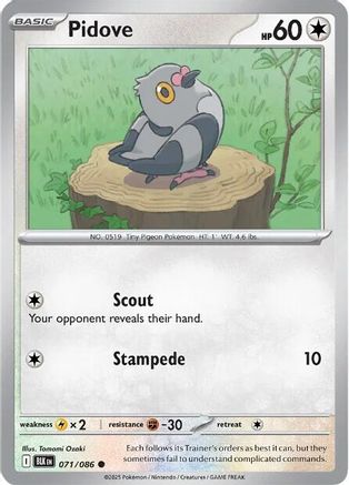 Pidove (71) [SV: Black Bolt] - Deck Out Gaming