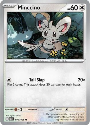 Minccino (75) [SV: Black Bolt] Reverse Holofoil - Deck Out Gaming