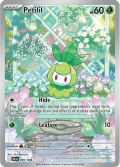 Petilil - 091/086 (91) [SV: Black Bolt] Holofoil - Deck Out Gaming