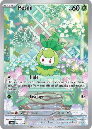 Petilil - 091/086 (91) [SV: Black Bolt] Holofoil - Deck Out Gaming