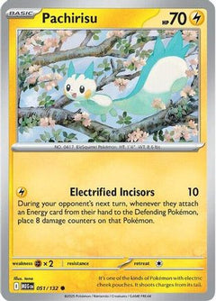 Pachirisu (51) [ME01: Mega Evolution] - Deck Out Gaming