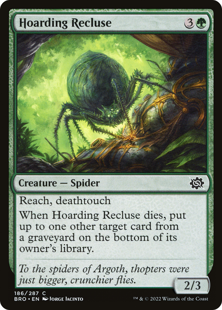 Hoarding Recluse (186) [The Brothers' War] foil - Deck Out Gaming