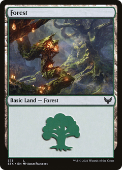 Forest (375) [Strixhaven: School of Mages] - Deck Out Gaming