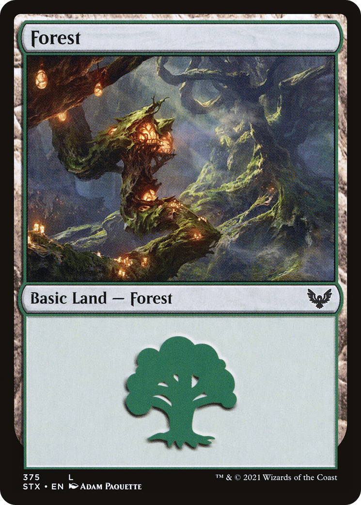 Forest (375) [Strixhaven: School of Mages] foil - Deck Out Gaming