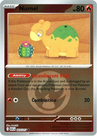 Numel - 027/217 (Energy Symbol Pattern) (27) [ME: Ascended Heroes] Reverse Holofoil - Deck Out Gaming