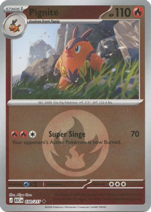 Pignite (Energy Symbol Pattern) (30) [ME: Ascended Heroes] Reverse Holofoil-1