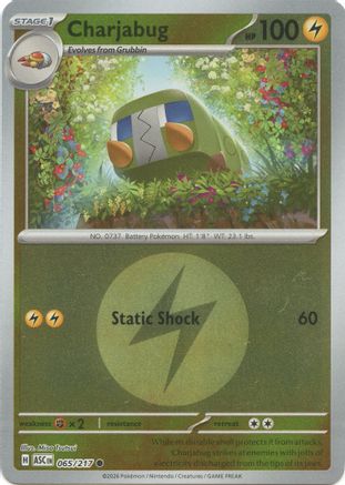 Charjabug (Energy Symbol Pattern) (65) [ME: Ascended Heroes] Reverse Holofoil-1